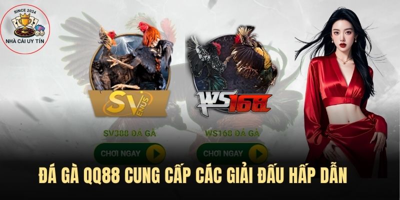 Đá gà QQ88 cung cấp các giải đấu hấp dẫn