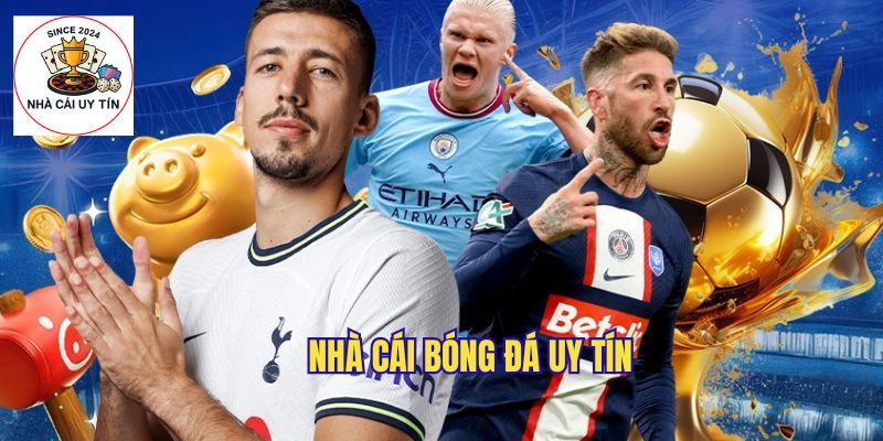 Nhà Cái Bóng Đá - Dữ Liệu Soi Cầu & Phân Tích Miễn Phí